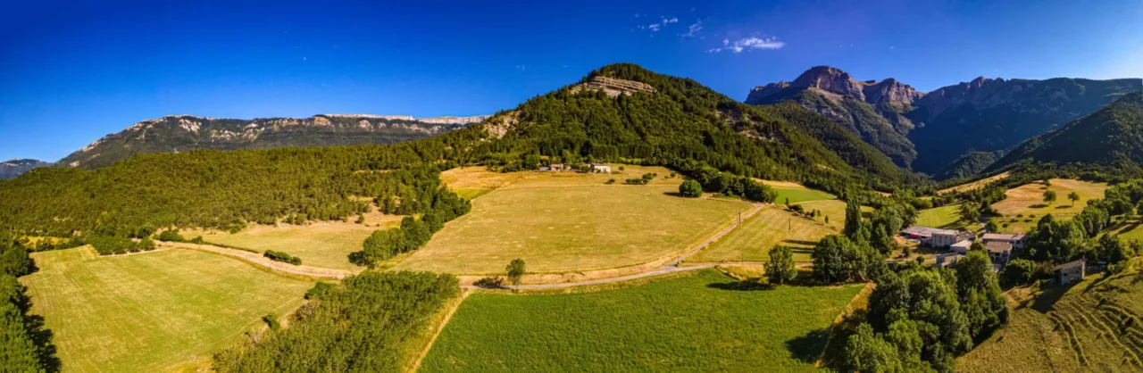 DJI Panorama