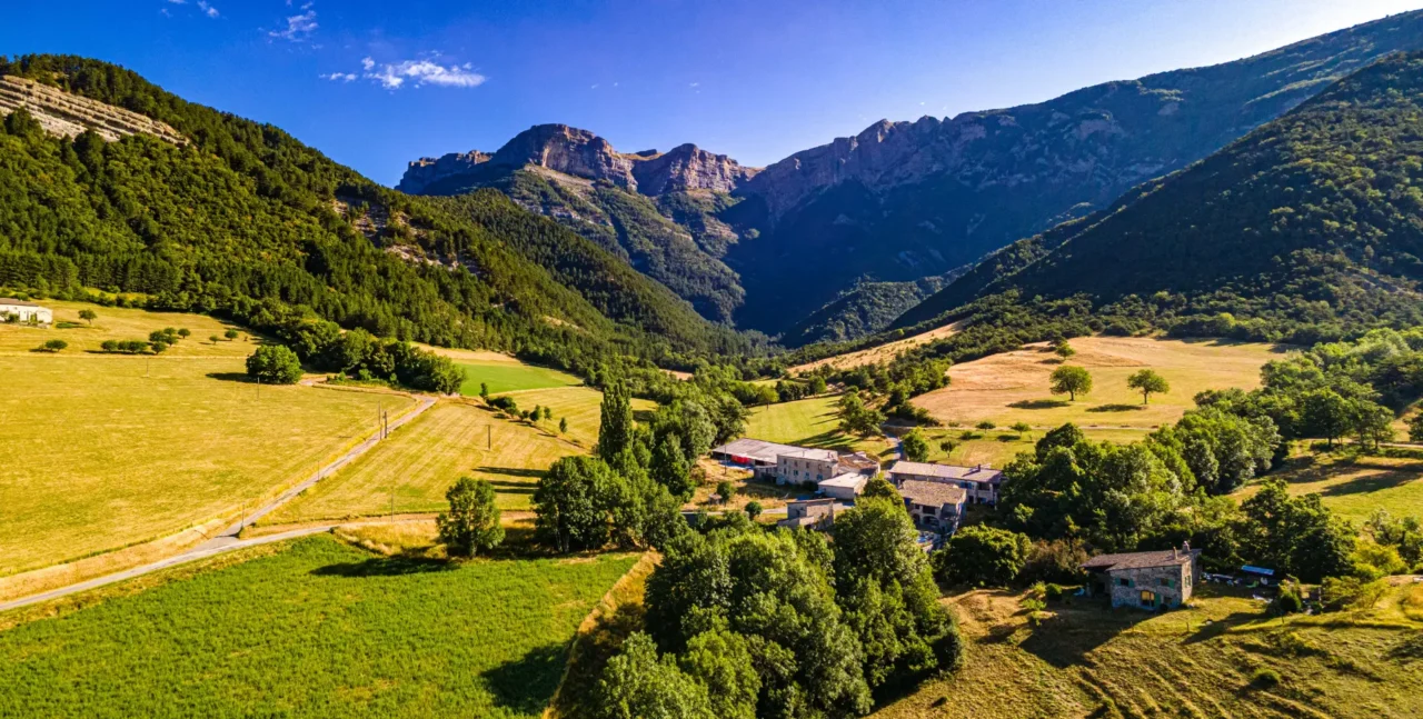 DJI Panorama