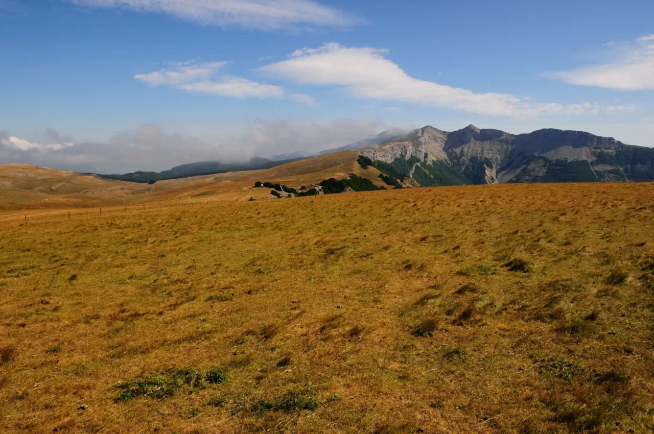 PLATEAU AMBEL