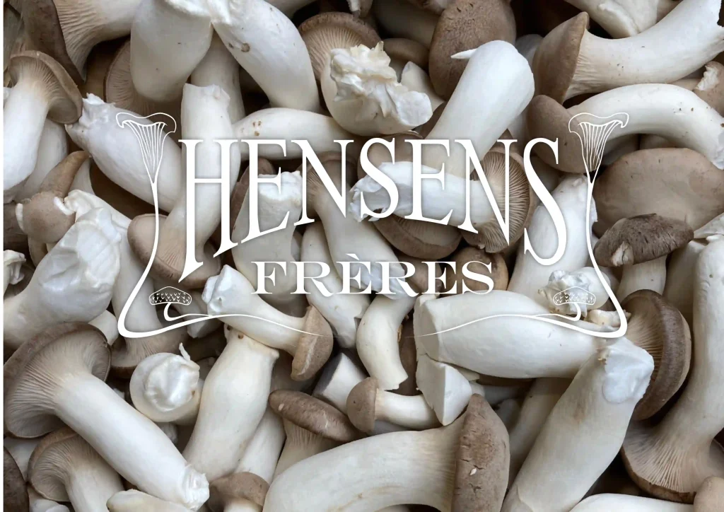 Hensens Logo